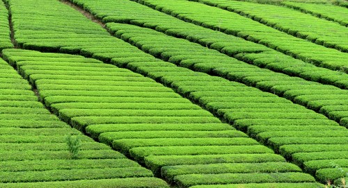 定制小程序开发