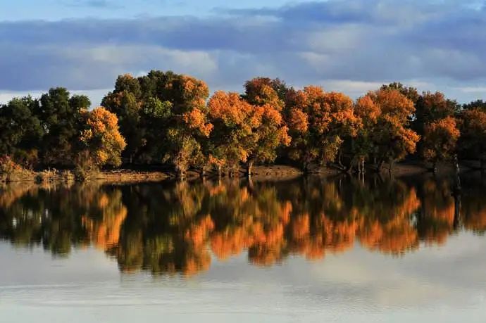 https://xtsimages001.oss-cn-hangzhou.aliyuncs.com/users-271884/2022_06_30_18_50_36753611.jpeg