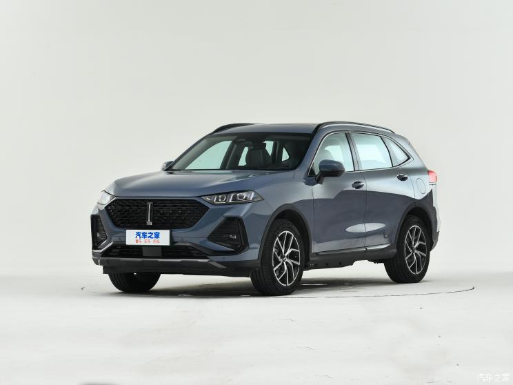 长城汽车 拿铁DHT-PHEV 2022款 1.5T 两驱大杯