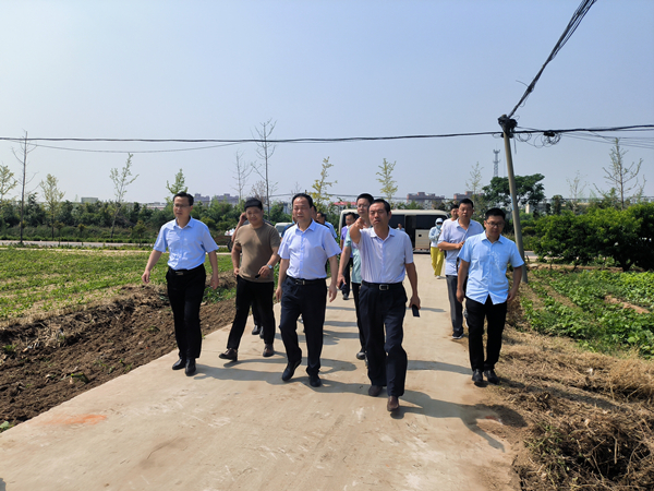 乔部长赴我区调研高标准农田建设情况 中国财经新闻网 www.prcfe.com