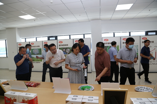 省统计局调研组到区调研工作 中国财经新闻网 www.prcfe.com