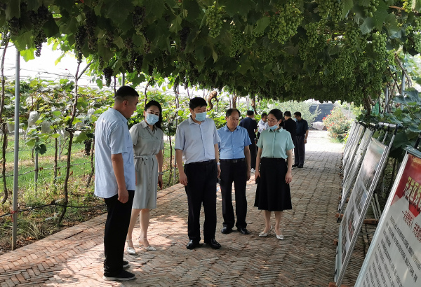 省残联综合调研组到漯河市经开区调研残疾人工作 中国财经新闻网 www.prcfe.com