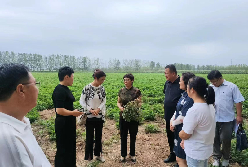 市抗旱保秋服务组一行来我区调研 中国财经新闻网 www.prcfe.com